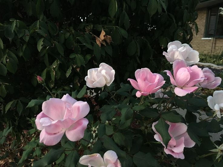 Tử vi vòng quay công nghệ ngày 22/11/2025: Tuổi Thân sự nghiệp không tốt, tuổi Tý công việc suôn sẻ