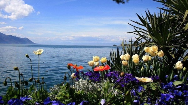 Tử vi vòng quay công nghệ ngày 26/11/2025: Tuổi Thân tín hiệu tốt, tuổi Dậu nhìn lạc quan