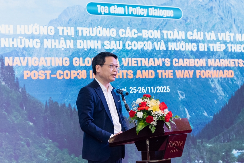 Thị trường các-bon rừng sau COP30: Xu hướng toàn cầu và định hướng của Việt Nam