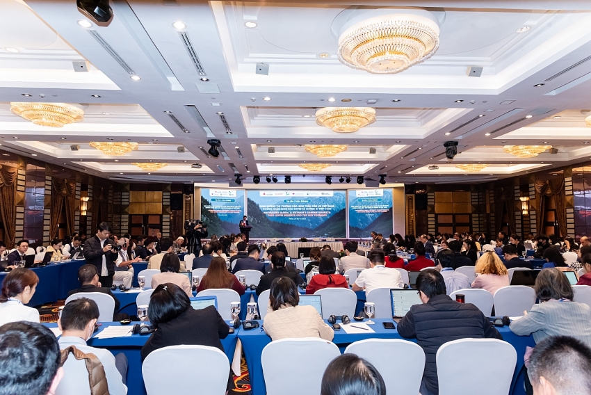 Thị trường các-bon rừng sau COP30: Xu hướng toàn cầu và định hướng của Việt Nam