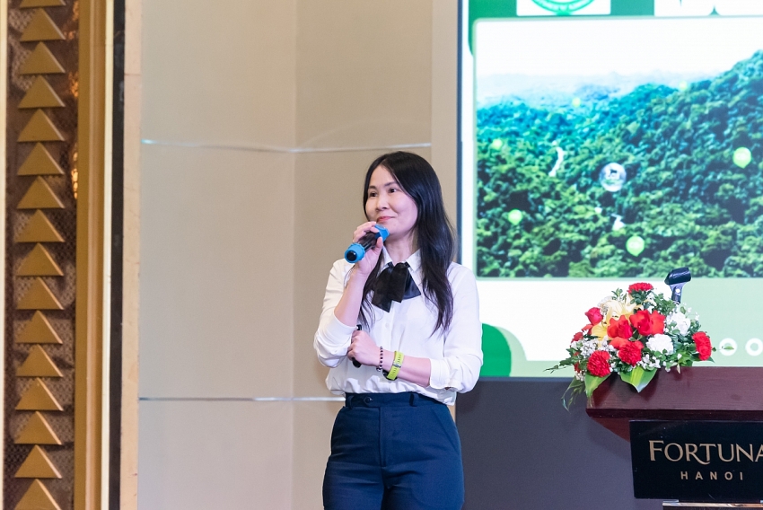 Thị trường các-bon rừng sau COP30: Xu hướng toàn cầu và định hướng của Việt Nam