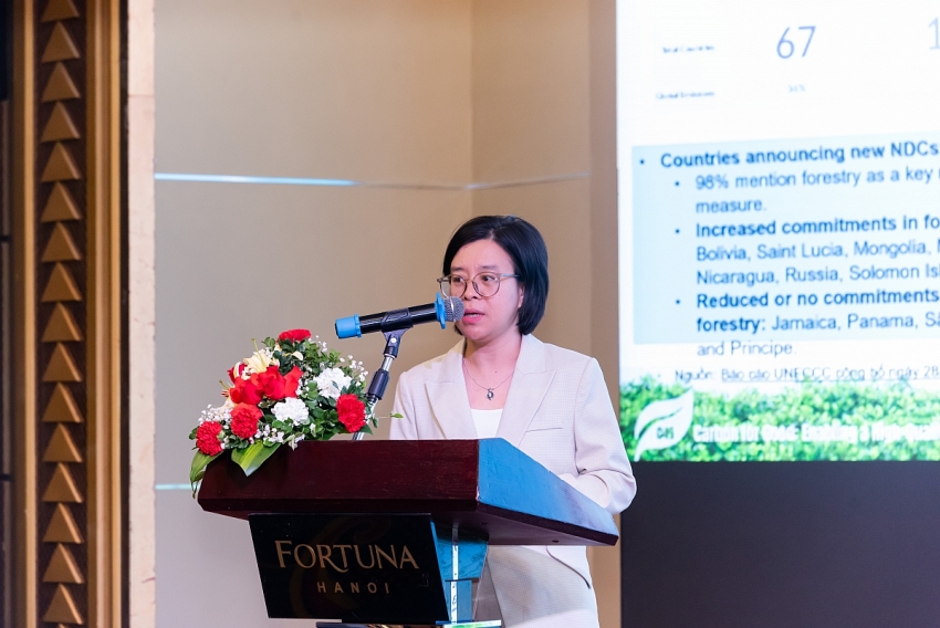 Thị trường các-bon rừng sau COP30: Xu hướng toàn cầu và định hướng của Việt Nam