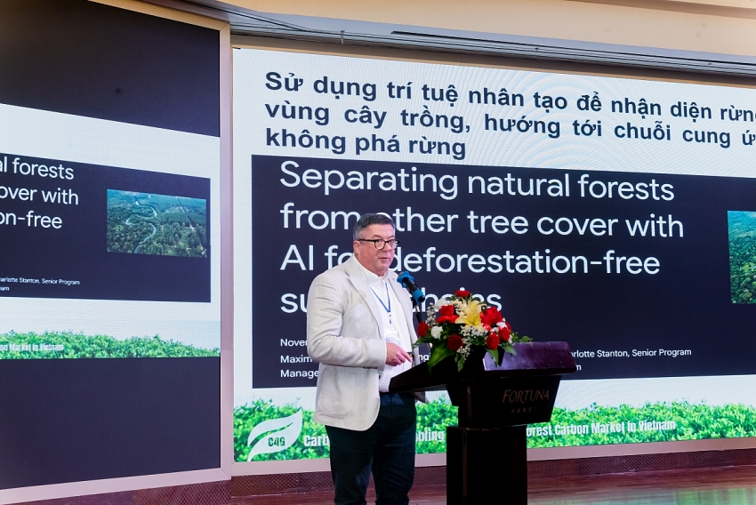 Thị trường các-bon rừng sau COP30: Xu hướng toàn cầu và định hướng của Việt Nam