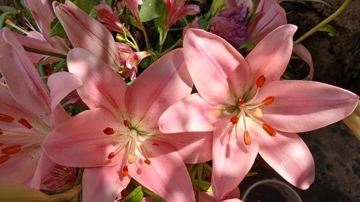 Tử vi vòng quay công nghệ ngày 28/11/2025: Tuổi Sửu điềm báo thị phi, tuổi Ngọ khởi sắc hơn hẳn