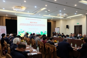 Lo ngại khi hợp tác đầu tư điện mặt trời tại khu công nghiệp