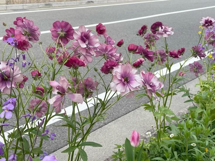 Tử vi vòng quay công nghệ ngày 11/4/2026: Tuổi Tý nhiều may mắn, tuổi Mùi xảy ra mâu thuẫn