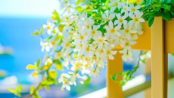 Tử vi vòng quay công nghệ ngày 1/12/2025: Tuổi Mão hôm nay tốt đẹp, tuổi Tỵ vận may về tiền bạc