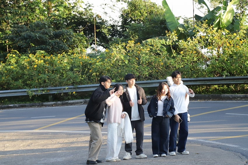 Ba Vì vào mùa dã quỳ rực rỡ, lượng khách tăng mạnh cuối tuần