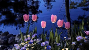 Tử vi vòng quay công nghệ ngày 3/12/2025: Tuổi Tuất gặp may, tuổi Dần dễ rơi cảnh túng thiếu