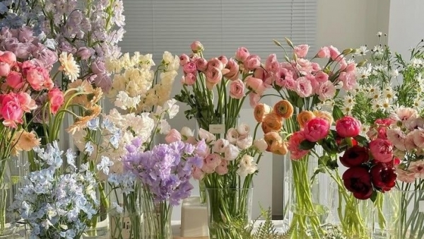 Tử vi vòng quay công nghệ ngày 7/12/2025: Tuổi Dậu tình cảm rắc rối, tuổi Tuất bớt áp lực