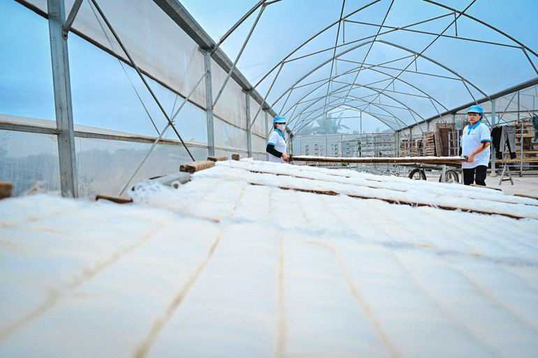 Đánh thức di sản, kiến tạo du lịch xanh