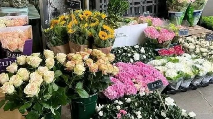 Tử vi vòng quay công nghệ ngày 16/12/2025: Tuổi Thìn khá lộc lá, tuổi Tỵ nên cẩn thận