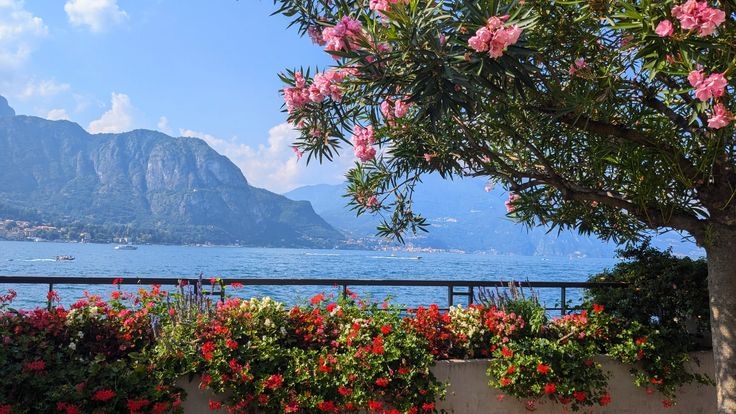 Tử vi vòng quay công nghệ ngày 16/12/2025: Tuổi Thìn khá lộc lá, tuổi Tỵ nên cẩn thận