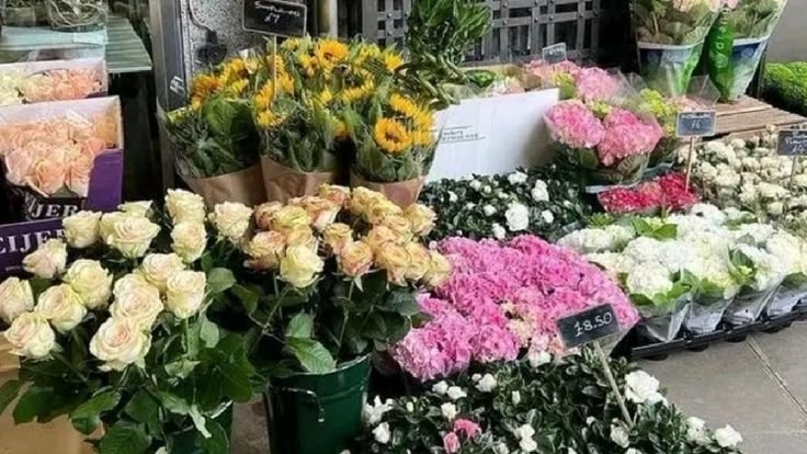 Tử vi vòng quay công nghệ ngày 22/5/2026: Tuổi Mão nhiều rắc rối, tuổi Hợi đạt thành công