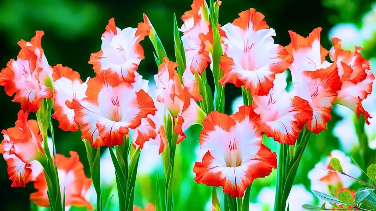 Tử vi vòng quay công nghệ ngày 30/4/2026: Tuổi Tỵ vận may tiền bạc, tuổi Ngọ điềm báo tranh cãi