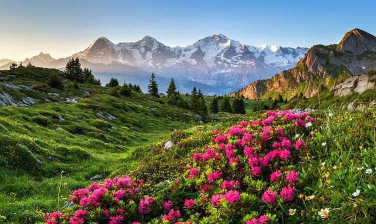 Tử vi vòng quay công nghệ ngày 20/12/2025: Tuổi Tý công việc bấp bênh, tuổi Dần ăn nên làm ra