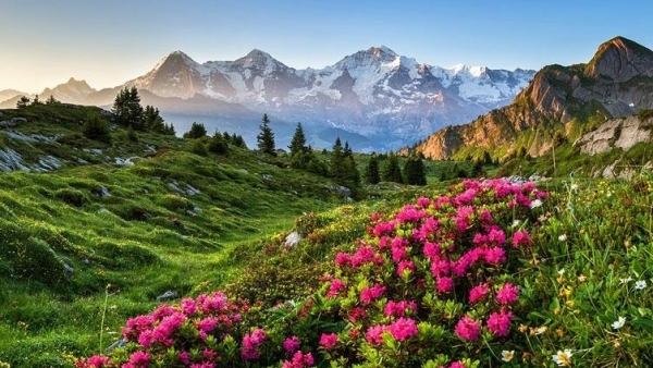 Tử vi vòng quay công nghệ ngày 20/12/2025: Tuổi Tý công việc bấp bênh, tuổi Dần ăn nên làm ra