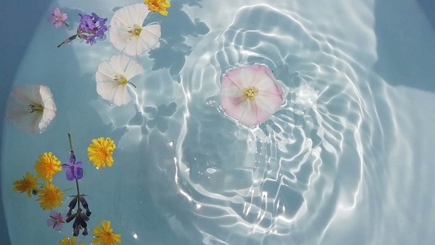 vòng quay công nghệ ngày 21/12/2025: Tuổi Tý đón tin vui công việc, tuổi Dậu khởi sắc tài lộc