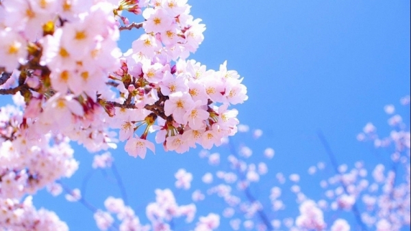 Tử vi vòng quay công nghệ ngày 22/12/2025: Tuổi Sửu bình ổn công việc, tuổi Ngọ rủng rỉnh tài chính