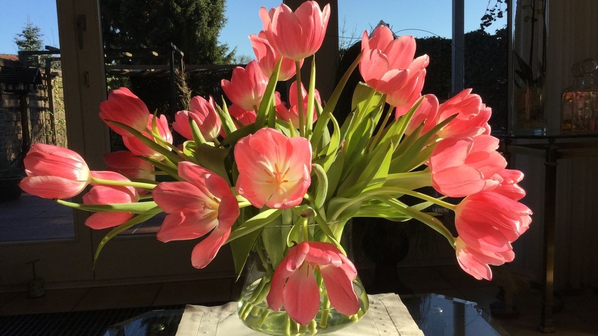 Tử vi vòng quay công nghệ ngày 23/12/2025: Tuổi Tý trở nên nóng nảy, tuổi Thân vượng đào hoa