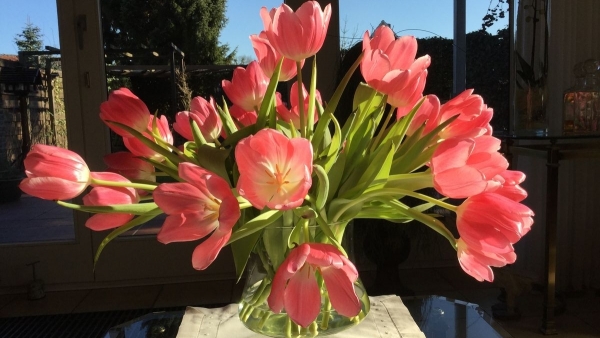 Tử vi vòng quay công nghệ ngày 23/12/2025: Tuổi Tý trở nên nóng nảy, tuổi Thân vượng đào hoa