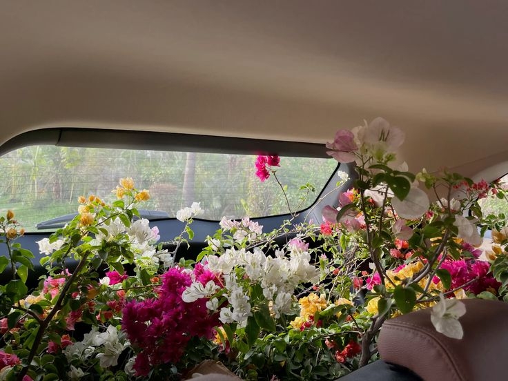 Tử vi vòng quay công nghệ ngày 24/12/2025: Tuổi Ngọ vướng vào rắc rối, tuổi Dần dấu hiện tích cực