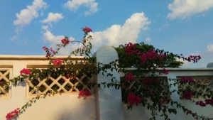 Tử vi vòng quay công nghệ ngày 24/12/2025: Tuổi Ngọ vướng vào rắc rối, tuổi Dần dấu hiện tích cực