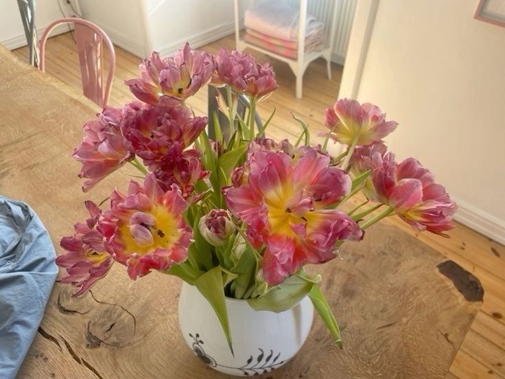 Tử vi vòng quay công nghệ ngày 25/12/2025: Tuổi Sửu việc làm cản trở, tuổi Thìn mọi việc suôn sẻ