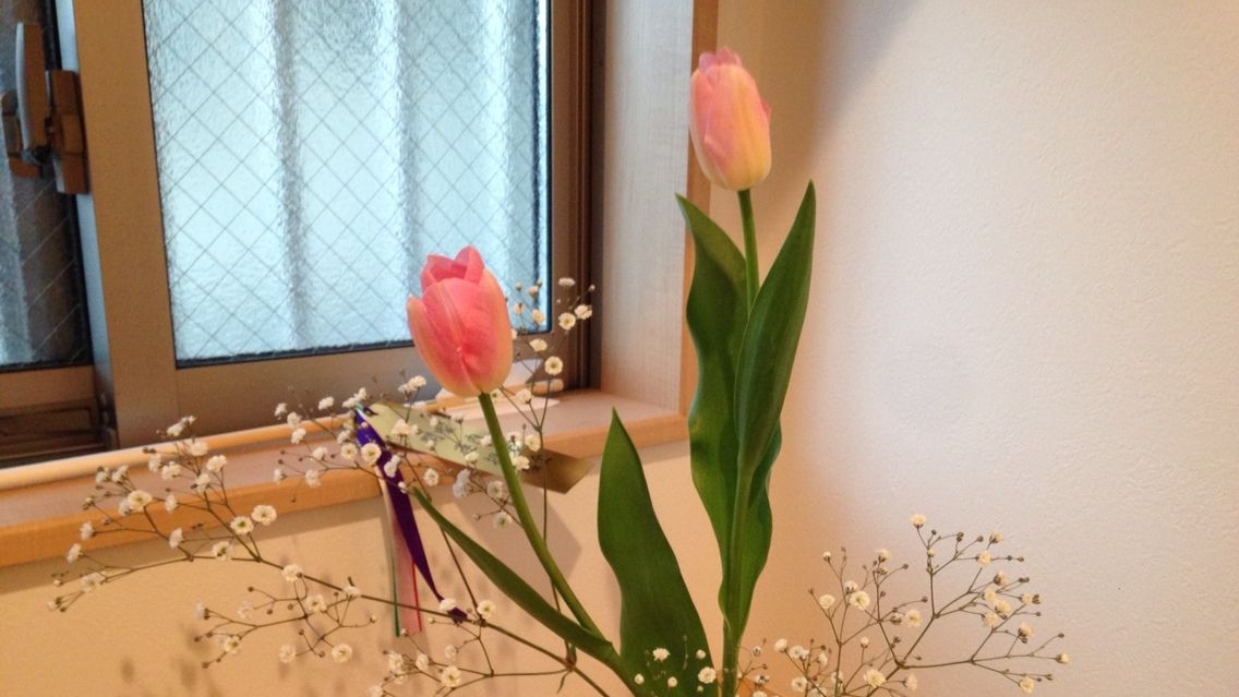 Tử vi vòng quay công nghệ ngày 25/12/2025: Tuổi Sửu việc làm cản trở, tuổi Thìn mọi việc suôn sẻ