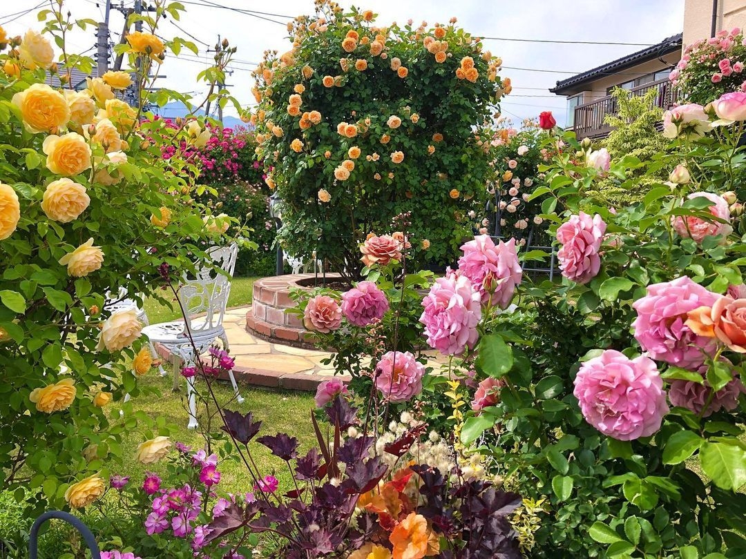 Tử vi vòng quay công nghệ ngày 27/12/2025: Tuổi Dần tránh cãi vã, tuổi Hợi tài chính vững vàng