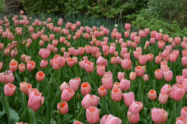 Tử vi vòng quay công nghệ ngày 28/12/2025: Tuổi Tý sự nghiệp thuận lợi, tuổi Tuất gặp trục trặc