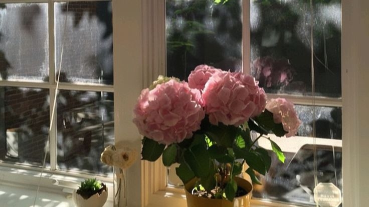 Tử vi vòng quay công nghệ ngày 31/12/2025: Tuổi Thân khó tránh rắc rối, tuổi Sửu năng lượng tràn đầy