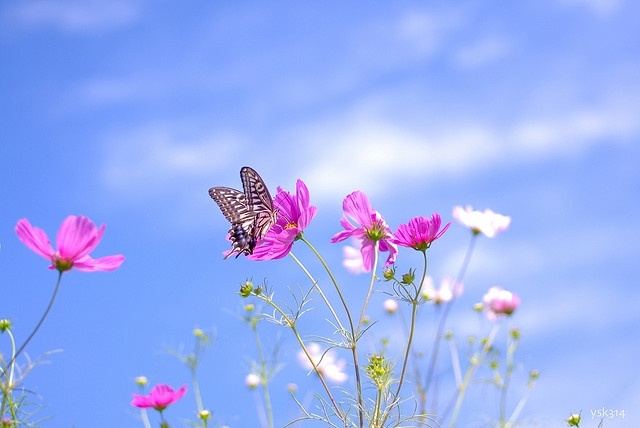 Tử vi vòng quay công nghệ ngày 3/1/2026: Tuổi Sửu khá nhiều tin vui,  tuổi Thân lo âu nhiều chuyện