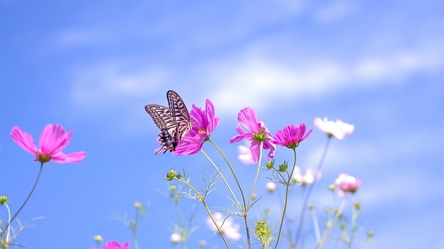 Tử vi vòng quay công nghệ ngày 3/1/2026: Tuổi Sửu khá nhiều tin vui,  tuổi Thân lo âu nhiều chuyện