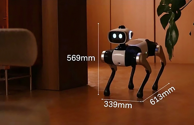 Big Head BoBo -  robot chó AI tự hành với sức kéo 100 kg chính thức thử nghiệm công khai