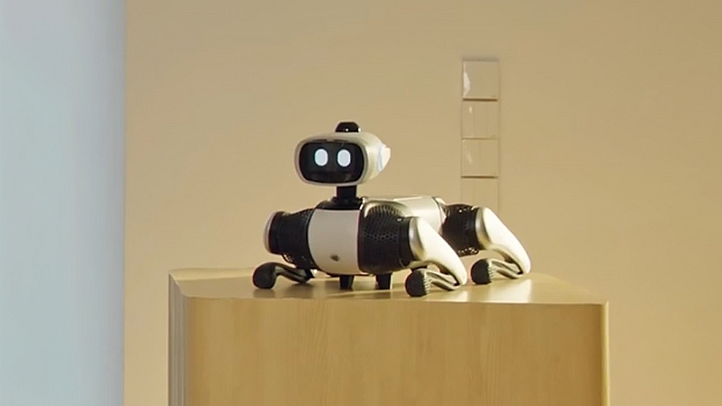 Big Head BoBo -  robot chó AI tự hành với sức kéo 100 kg chính thức thử nghiệm công khai