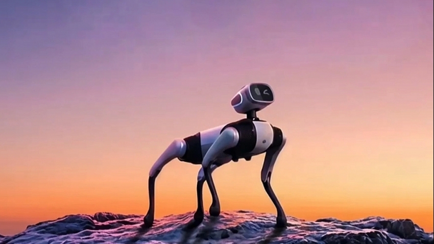 Big Head BoBo -  robot chó AI tự hành với sức kéo 100 kg chính thức thử nghiệm công khai