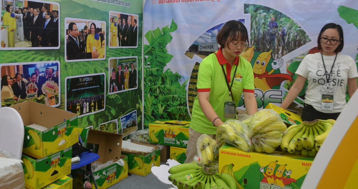 Lai tạo và sàng lọc giống thích ứng với biến đổi khí hậu và môi trường