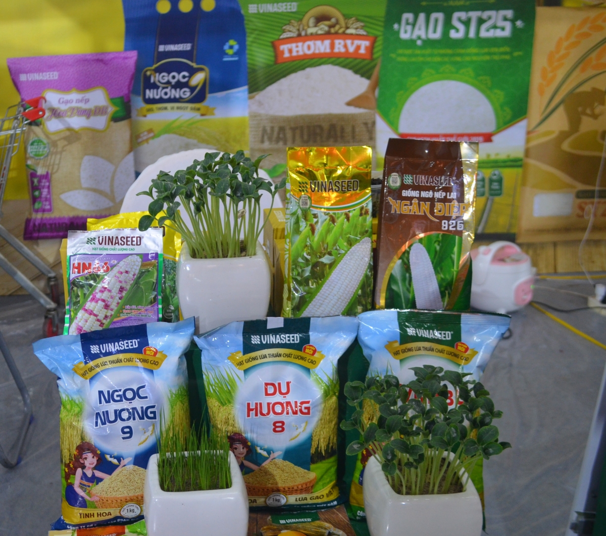 Lai tạo và sàng lọc giống thích ứng với biến đổi khí hậu và môi trường