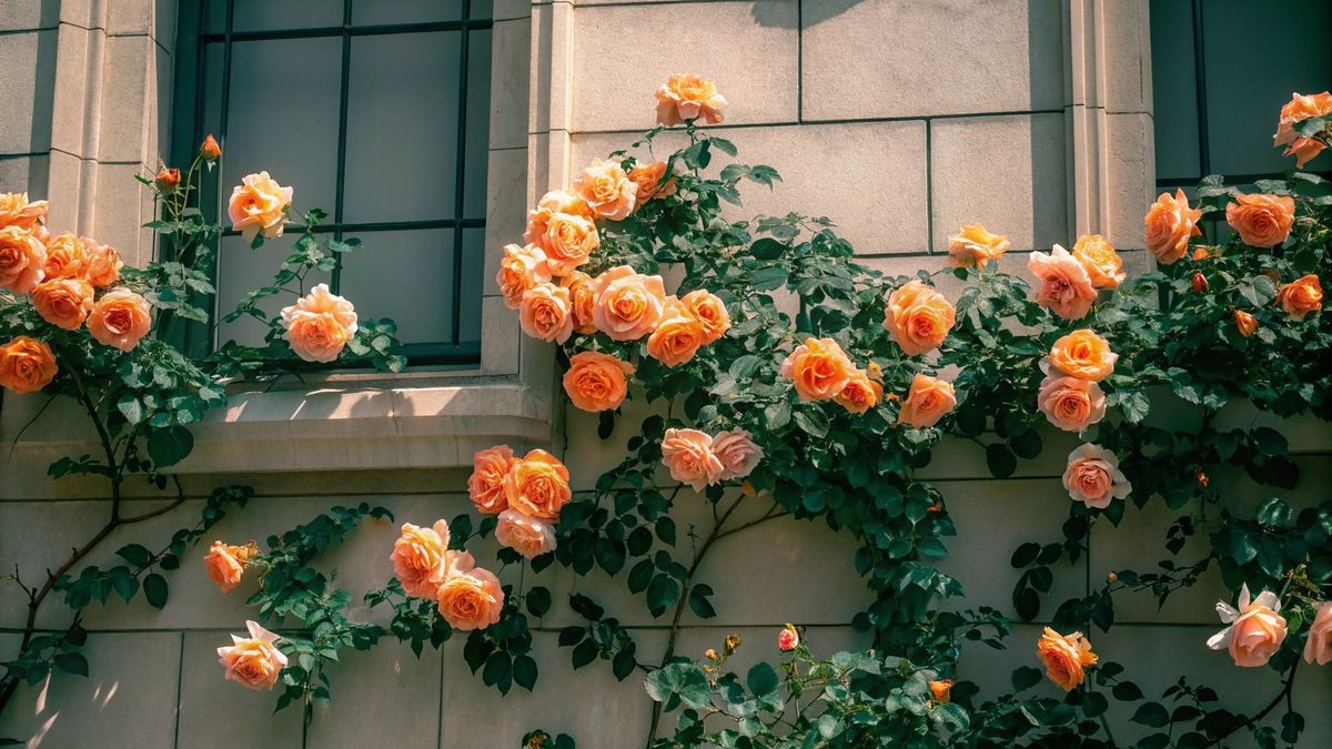 Tử vi vòng quay công nghệ ngày 8/1/2026: Tuổi Sửu cải thiện tài lộc, tuổi Ngọ tiểu nhân gây hại