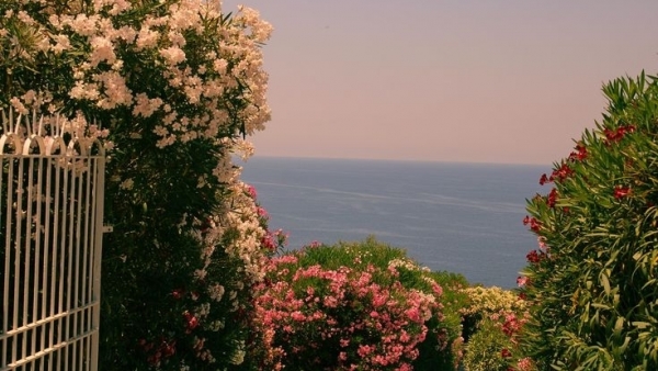 Tử vi vòng quay công nghệ ngày 8/1/2026: Tuổi Sửu cải thiện tài lộc, tuổi Ngọ tiểu nhân gây hại