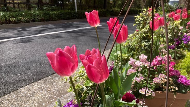 Tử vi vòng quay công nghệ ngày 20/1/2026: Tuổi Dần tin tức tốt, tuổi Tuất cạnh tranh bất lợi