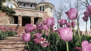 Tử vi vòng quay công nghệ ngày 15/1/2026: Tuổi Dần cơ hội kiếm tiền, tuổi Thân không mấy suôn sẻ