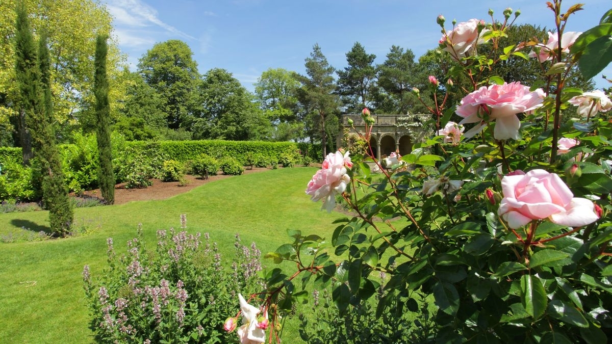 Tử vi vòng quay công nghệ ngày 17/1/2026: Tuổi Thân gặp khó khăn, tuổi Dần may mắn