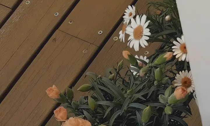 Tử vi vòng quay công nghệ ngày 17/1/2026: Tuổi Thân gặp khó khăn, tuổi Dần may mắn