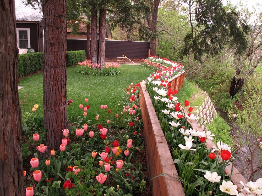 Tử vi vòng quay công nghệ ngày 18/1/2026: Tuổi Dậu quý nhân che chở, tuổi Thân nhiều may mắn