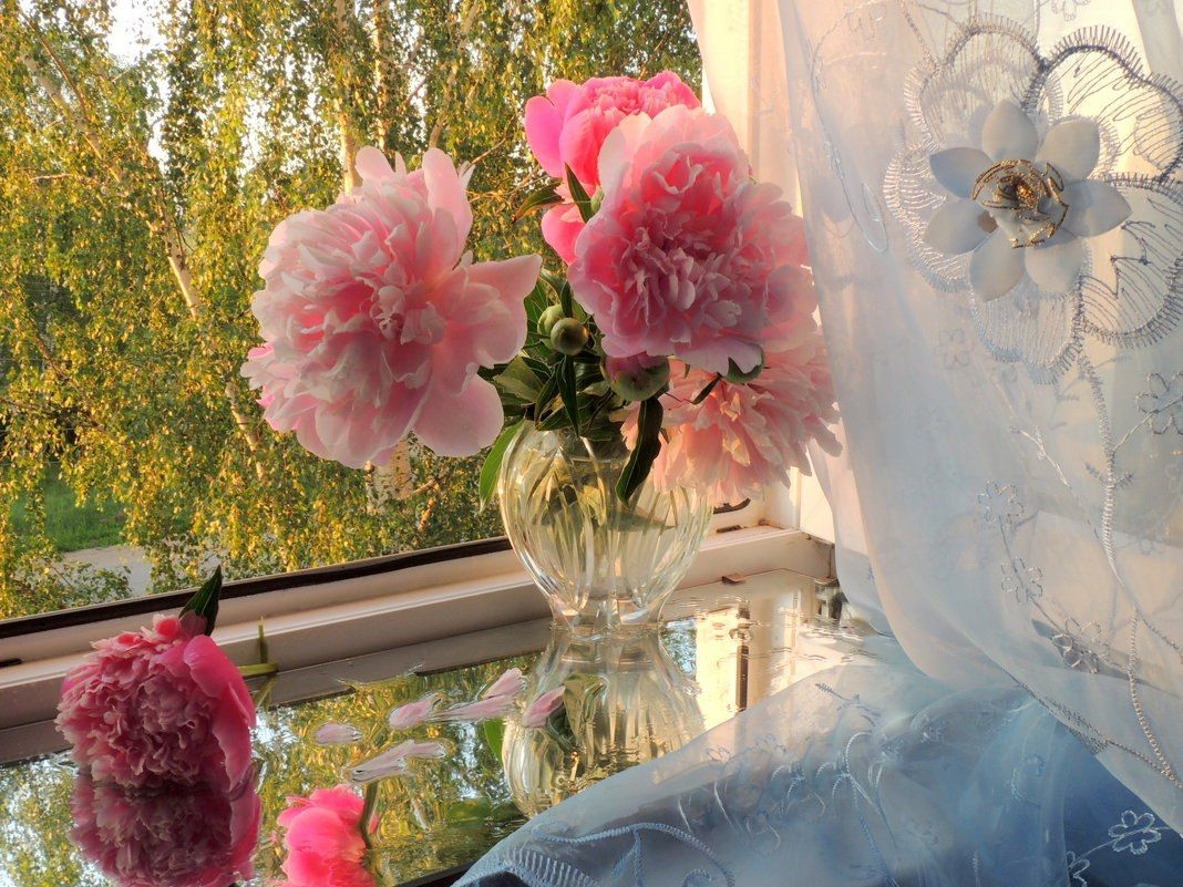 Tử vi vòng quay công nghệ ngày 24/1/2026: Tuổi Ngọ khó khăn, tuổi Mão đón nhận tin vui