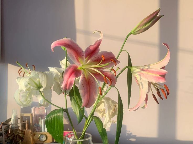 Tử vi vòng quay công nghệ ngày 24/1/2026: Tuổi Ngọ khó khăn, tuổi Mão đón nhận tin vui