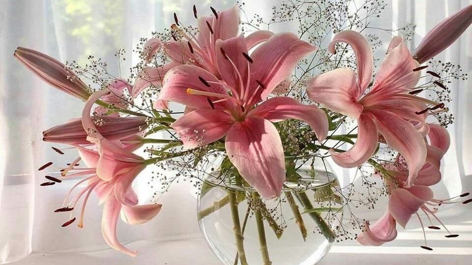 Tử vi vòng quay công nghệ ngày 24/1/2026: Tuổi Ngọ khó khăn, tuổi Mão đón nhận tin vui