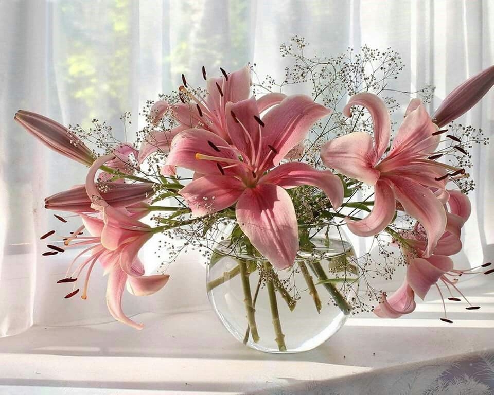 Tử vi vòng quay công nghệ ngày 24/1/2026: Tuổi Ngọ khó khăn, tuổi Mão đón nhận tin vui